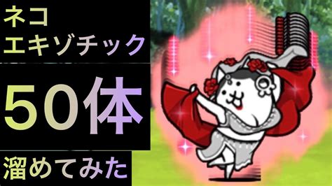 【にゃんこ大戦争】ネコエキゾチックの評価と入手方法｜おすす 